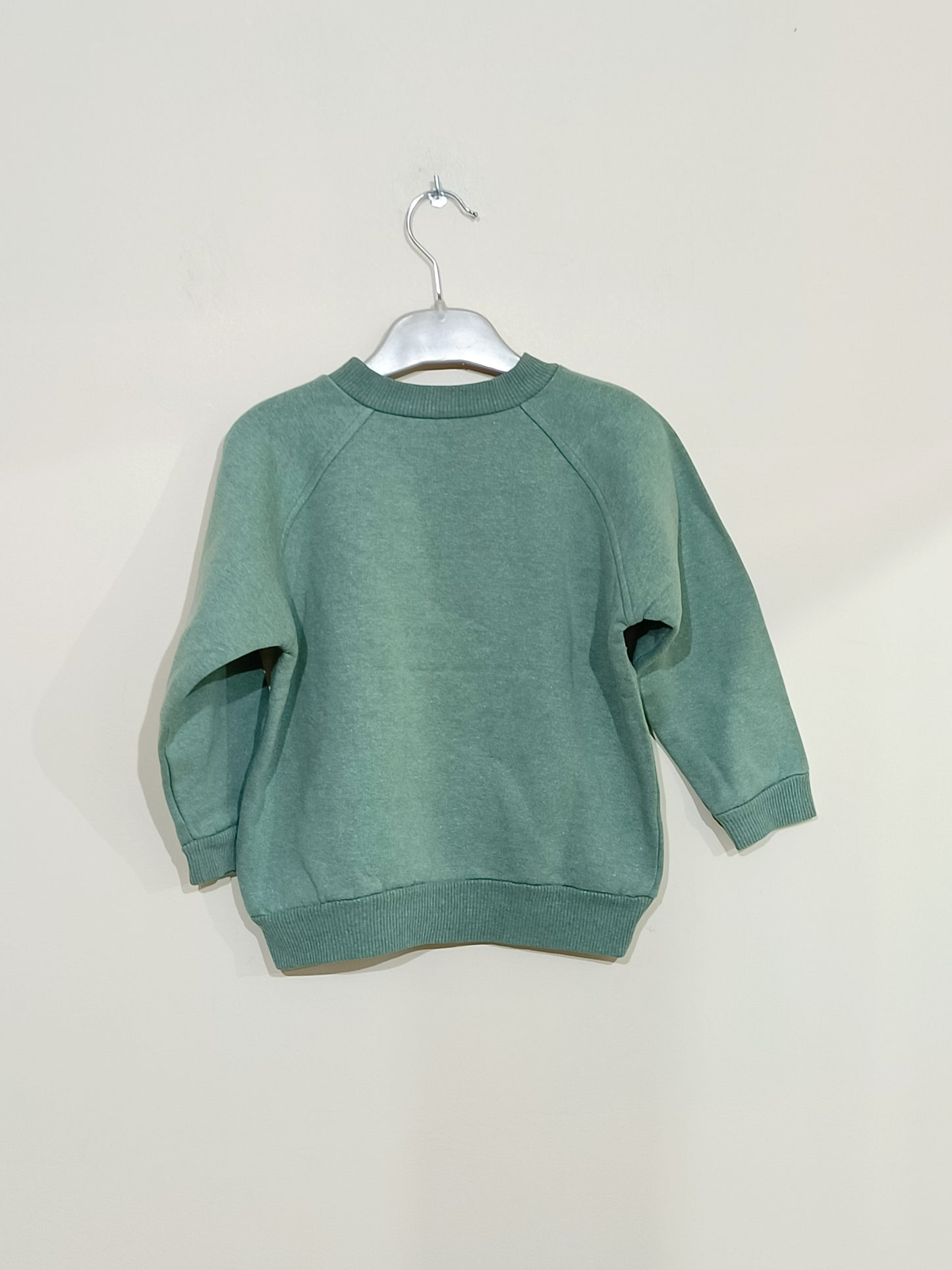 Ensemble pantalon et sweat vert pastel avec impression Taille 4 Ans