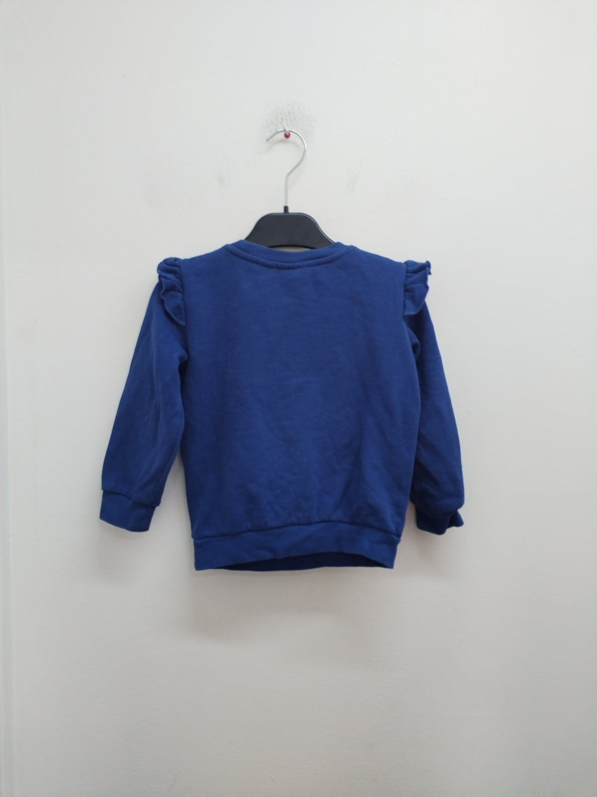 Sweat Pat Patrouille bleu avec impression Stella Taille 4 Ans